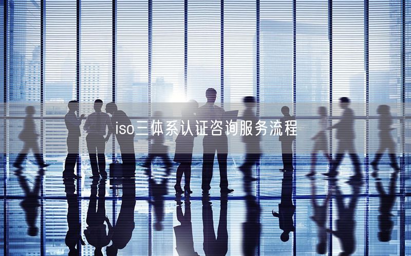 iso三體系認證咨詢服務(wù)流程(13)