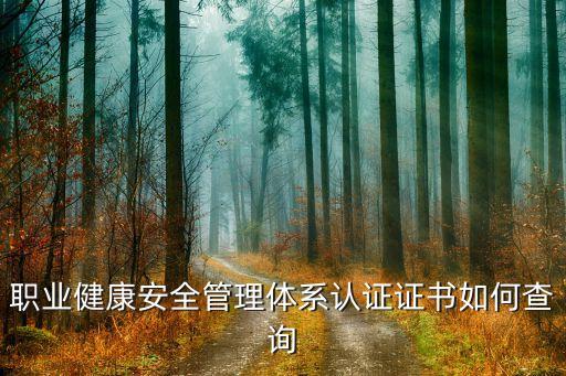 職業(yè)健康安全管理體系認證證書如何查詢
