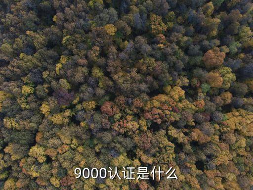 9000認證是什么