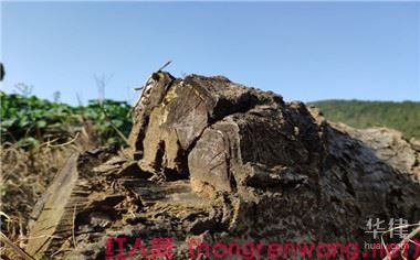華律網