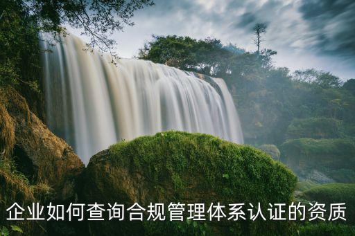 企業(yè)如何查詢合規(guī)管理體系認證的資質