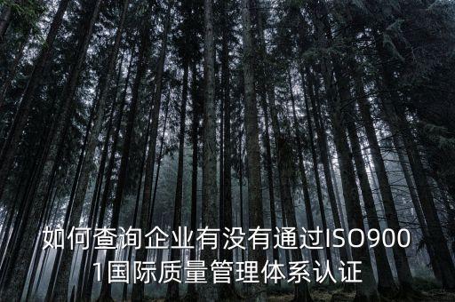 如何查詢企業(yè)有沒有通過ISO9001國際質量管理體系認證