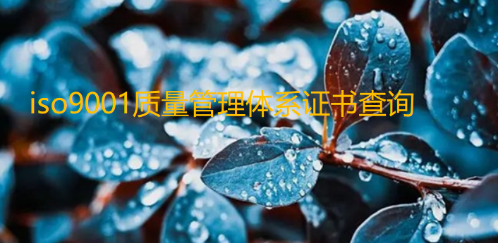 ISO質(zhì)量管理體系認(rèn)證證書(shū)在哪里查