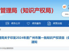 廣州啟動(dòng)2024年度第一批知識(shí)產(chǎn)權(quán)項(xiàng)目（促進(jìn)類）申報(bào)，最高獎(jiǎng)勵(lì)300萬！