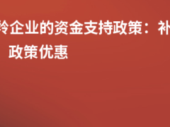瞪羚企業(yè)的資金支持政策:補(bǔ)貼金額、政策優(yōu)惠