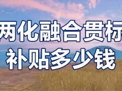 兩化融合貫標(biāo)補(bǔ)貼多少錢？兩化融合貫標(biāo)補(bǔ)貼條件？